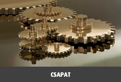 Csapat