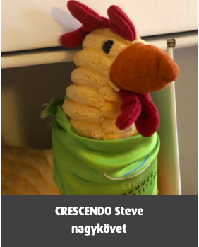 CRESCENDO Steve, nagykövet