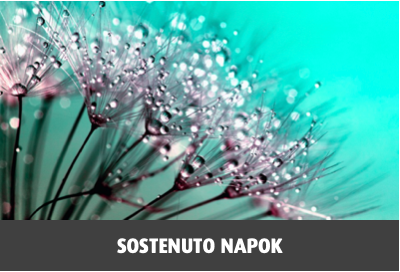 Sostenuto Napok