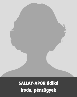 SALLAY-APOR Ildikó, iroda, pénzügyek